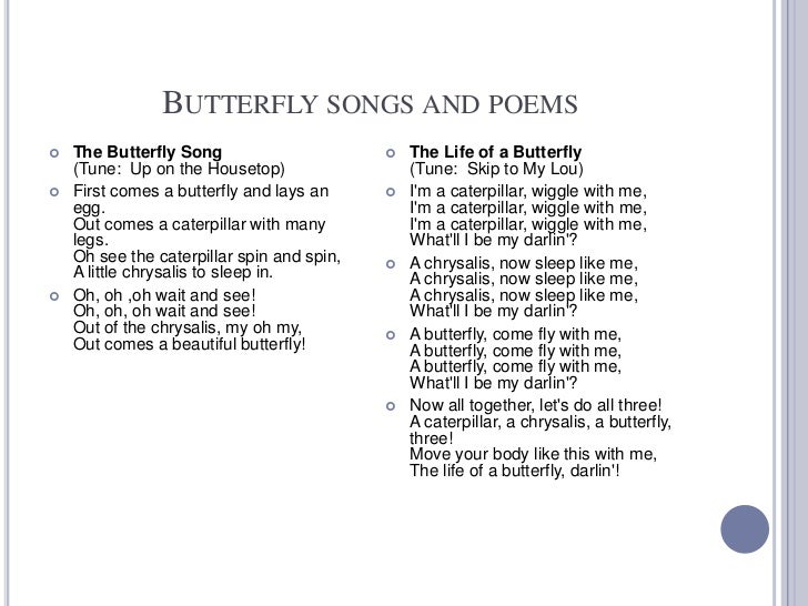 Life Cycle Of A Butterfly