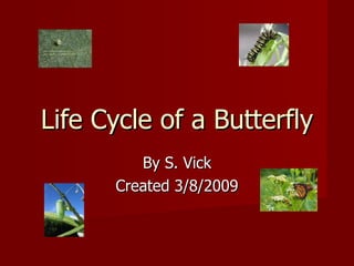 Life Cycle of a Butterfly By S. Vick Created 3/8/2009 