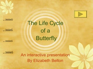 The Life Cycle  of a  Butterfly An interactive presentation By Elizabeth Belton 
