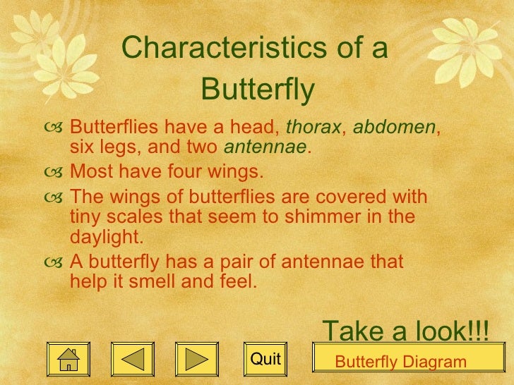 Lifecycleofabutterfly