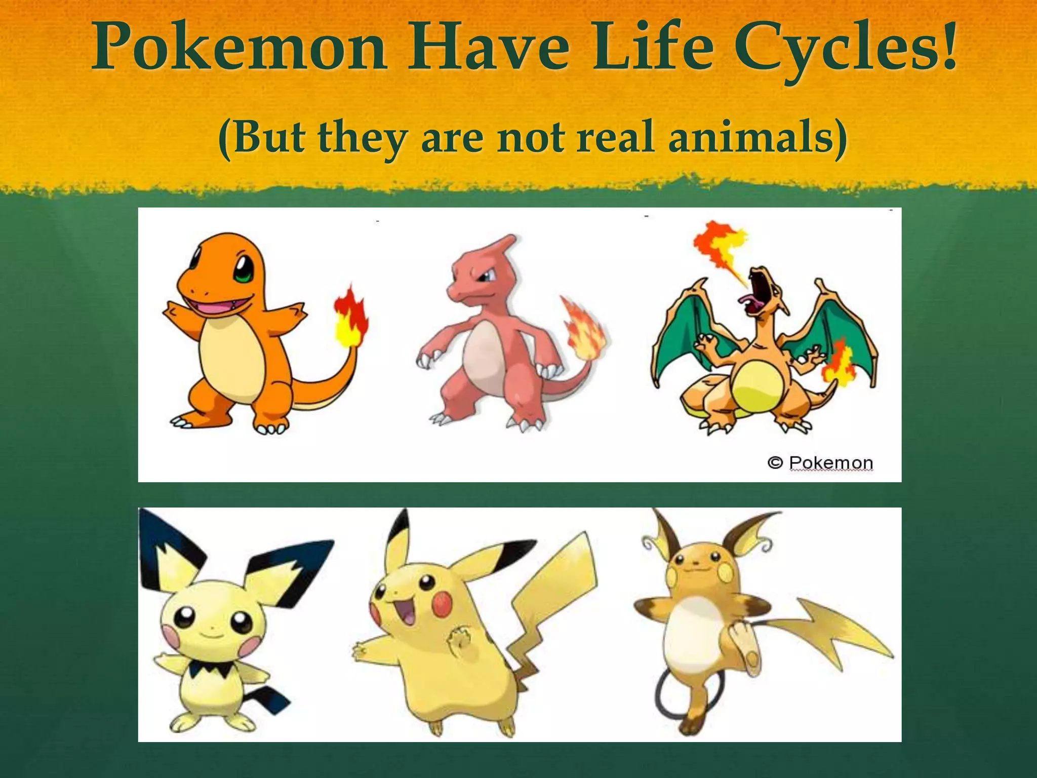 Pokemon Have Life Cycles!
(But they are not real animals)
 