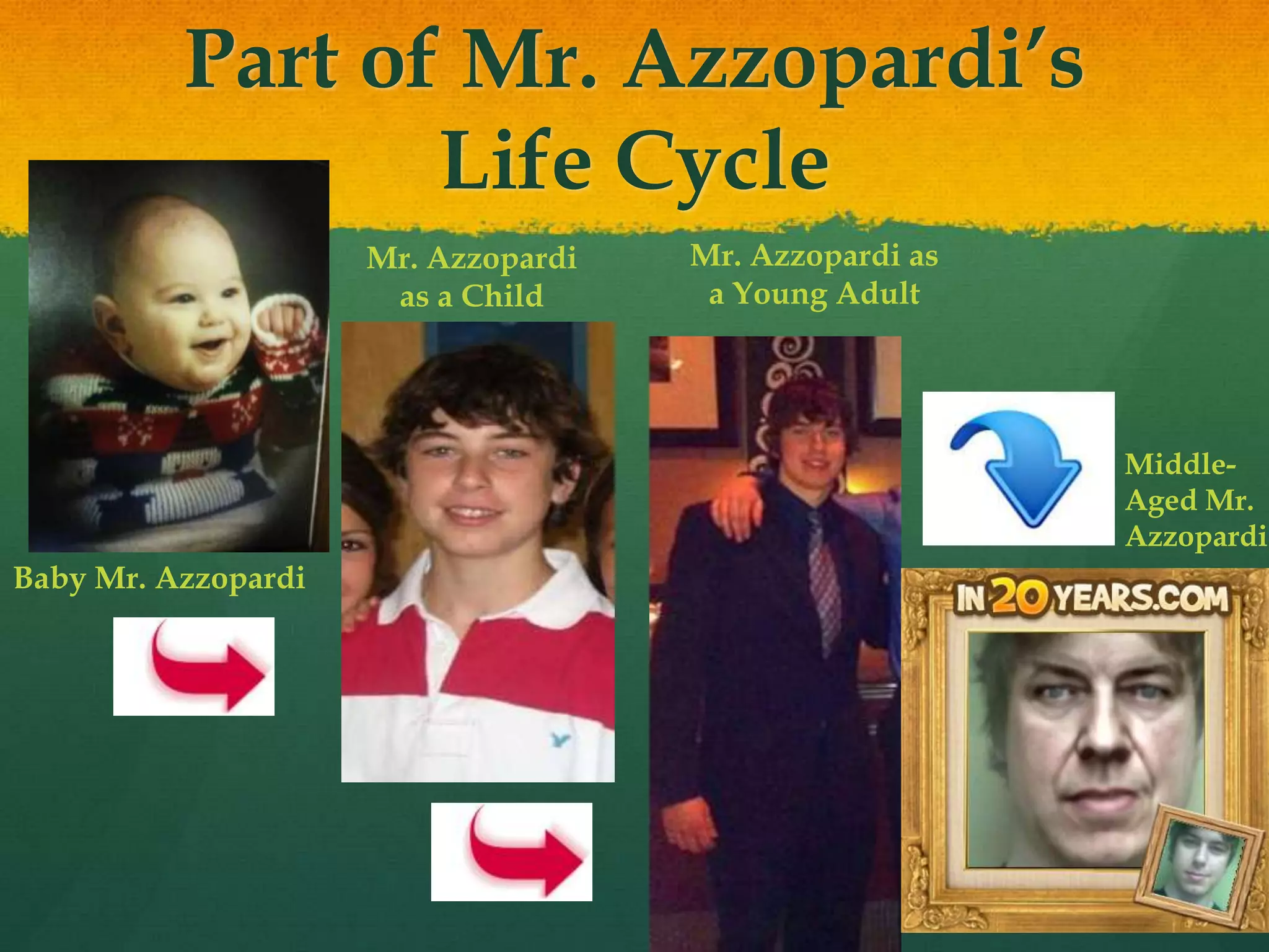 Part of Mr. Azzopardi’s
Life Cycle
Baby Mr. Azzopardi
Mr. Azzopardi
as a Child
Mr. Azzopardi as
a Young Adult
Middle-
Aged Mr.
Azzopardi
 