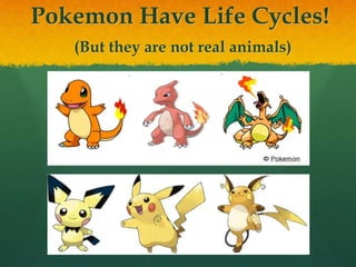Pokemon Have Life Cycles!
(But they are not real animals)
 