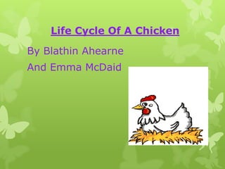 Life Cycle Of A Chicken
By Blathin Ahearne
And Emma McDaid
 