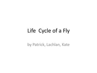 Life Cycle of a Fly
by Patrick, Lachlan, Kate
 