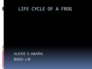    LIFE CYCLE OF A FROG     ALEXIS  S. ABAÑA    BSED- 1-B 