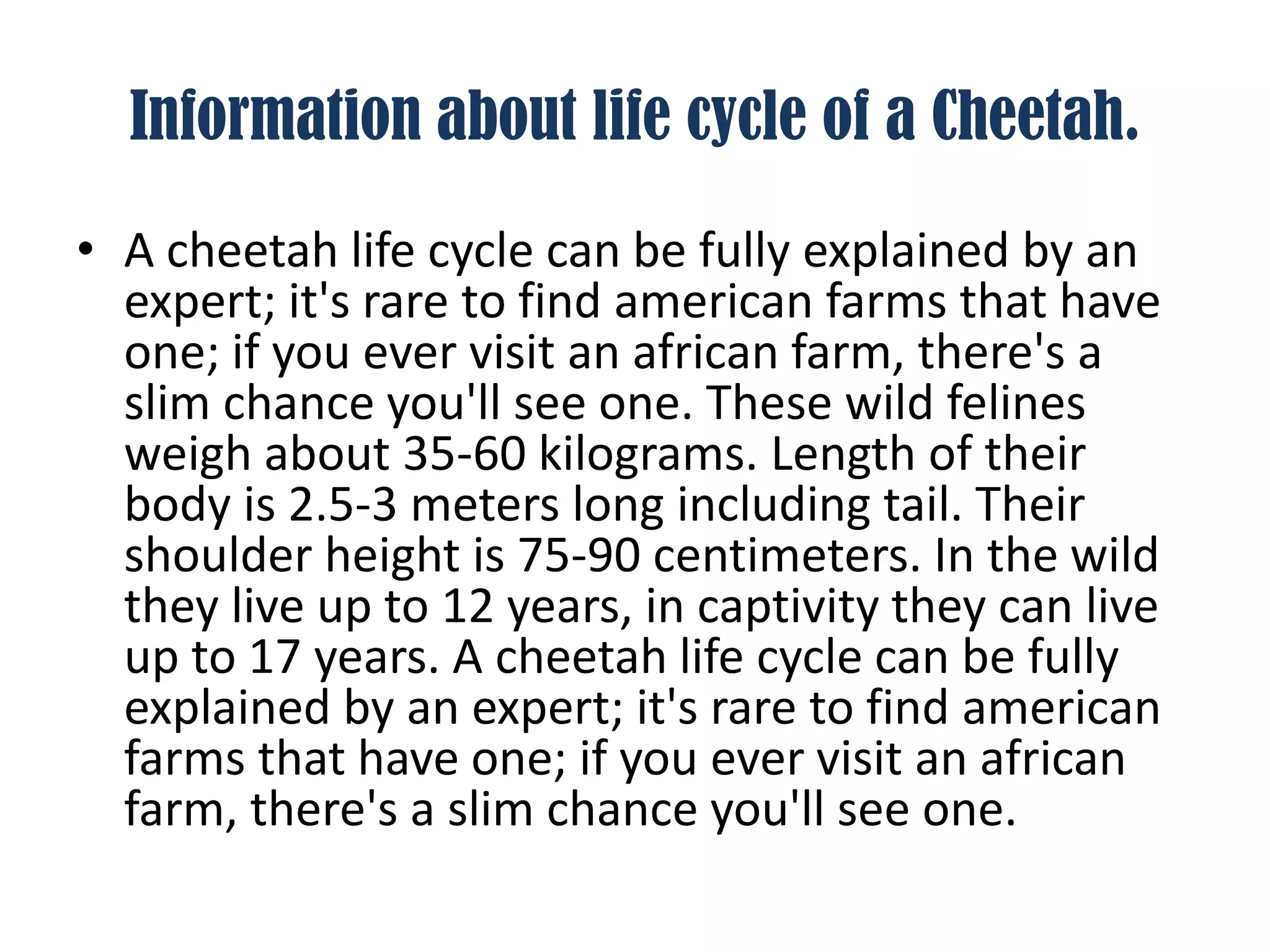 Information about life cycle of a Cheetah.

• A cheetah life cycle can be fully explained by an
  expert; it's rare to find american farms that have
  one; if you ever visit an african farm, there's a
  slim chance you'll see one. These wild felines
  weigh about 35-60 kilograms. Length of their
  body is 2.5-3 meters long including tail. Their
  shoulder height is 75-90 centimeters. In the wild
  they live up to 12 years, in captivity they can live
  up to 17 years. A cheetah life cycle can be fully
  explained by an expert; it's rare to find american
  farms that have one; if you ever visit an african
  farm, there's a slim chance you'll see one.
 