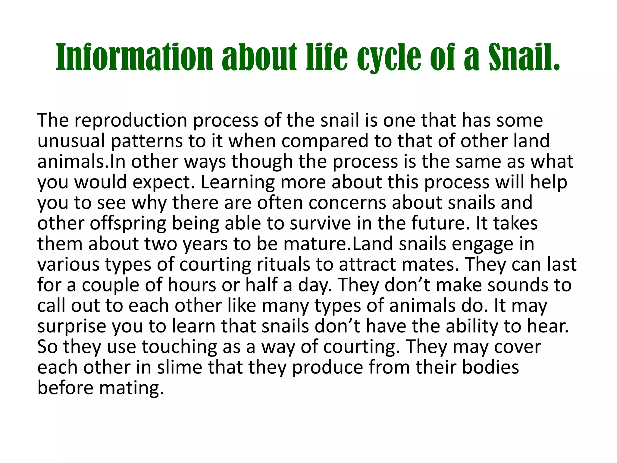 Information about life cycle of a Snail.
The reproduction process of the snail is one that has some
unusual patterns to it when compared to that of other land
animals.In other ways though the process is the same as what
you would expect. Learning more about this process will help
you to see why there are often concerns about snails and
other offspring being able to survive in the future. It takes
them about two years to be mature.Land snails engage in
various types of courting rituals to attract mates. They can last
for a couple of hours or half a day. They don’t make sounds to
call out to each other like many types of animals do. It may
surprise you to learn that snails don’t have the ability to hear.
So they use touching as a way of courting. They may cover
each other in slime that they produce from their bodies
before mating.
 