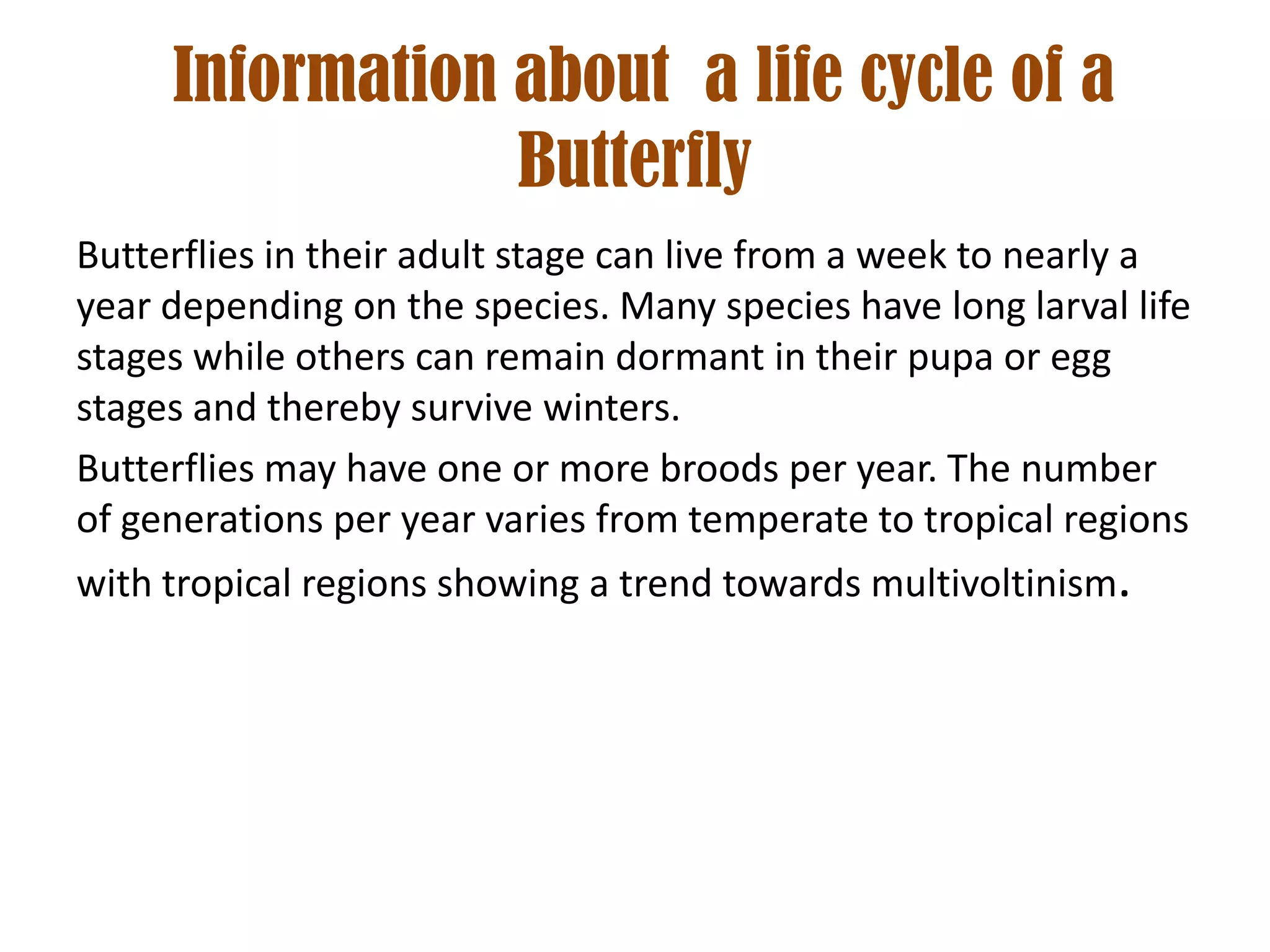 Information about a life cycle of a
                 Butterfly
Butterflies in their adult stage can live from a week to nearly a
year depending on the species. Many species have long larval life
stages while others can remain dormant in their pupa or egg
stages and thereby survive winters.
Butterflies may have one or more broods per year. The number
of generations per year varies from temperate to tropical regions
with tropical regions showing a trend towards multivoltinism.
 