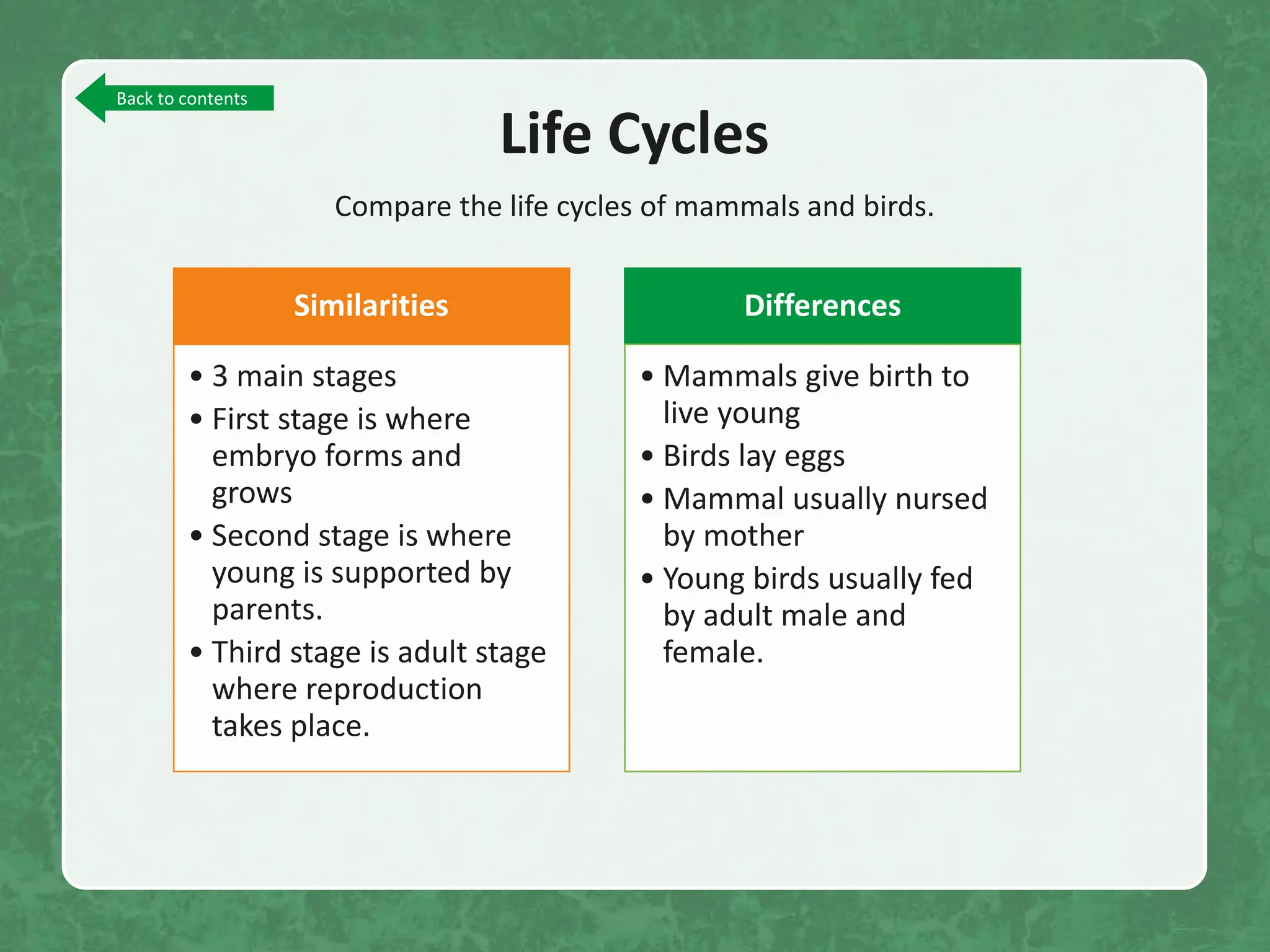 Important Fact Of Life Cycle Of Animals pptx