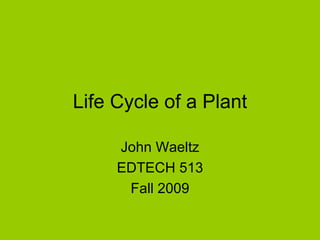 Life Cycle of a Plant John Waeltz EDTECH 513 Fall 2009 
