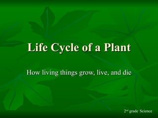 Life Cycle of a Plant How living things grow, live, and die 2 nd  grade Science 