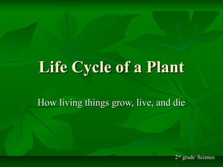 Life Cycle of a PlantLife Cycle of a Plant
How living things grow, live, and dieHow living things grow, live, and die
2nd
grade Science
 