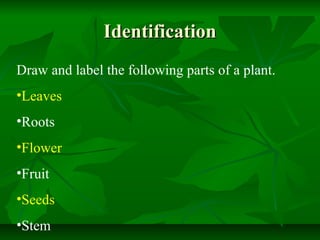 Life cycle of a plant (science)