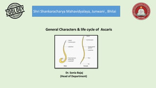 Shri Shankaracharya Mahavidyalaya, Junwani , Bhilai
General Characters & life cycle of Ascaris
Dr. Sonia Bajaj
(Head of Department)
 