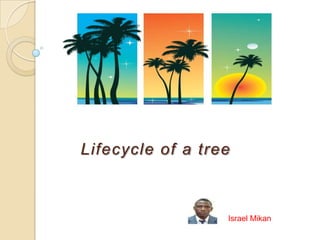 Lifecycle of a tree

Israel Mikan

 