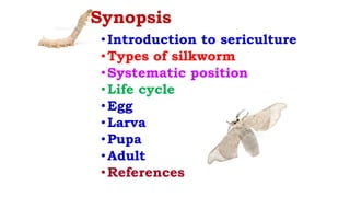 Life Cycle of Bombyx mori.pptx