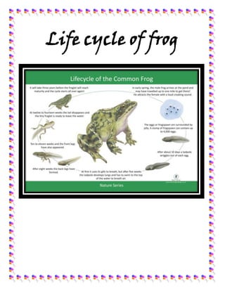 Life cycle of frog
 