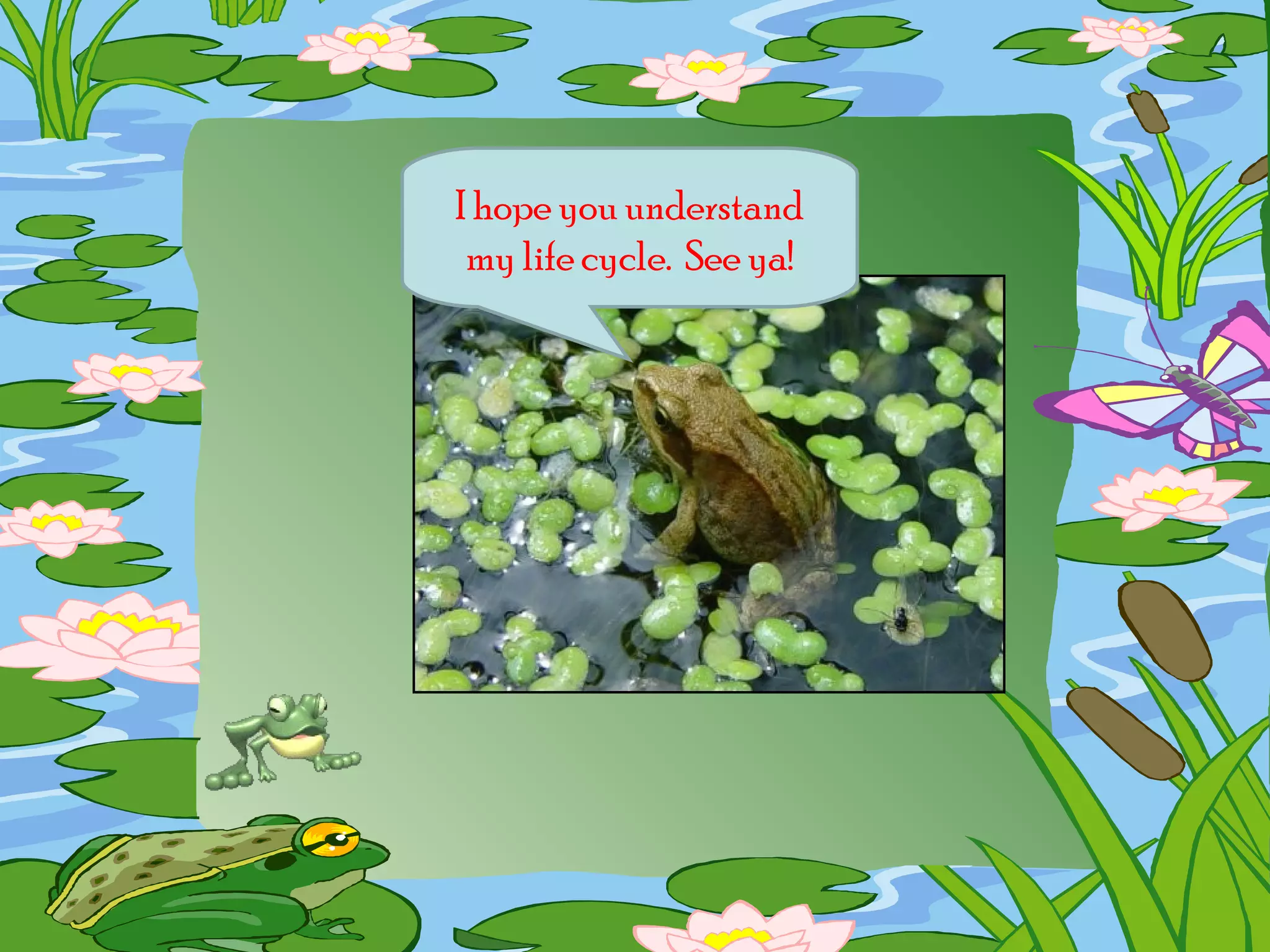 I hope you understand
my life cycle. See ya!

 