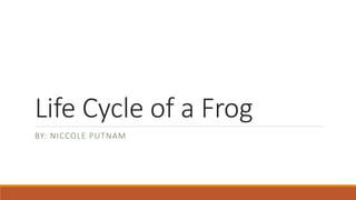 Life Cycle of a Frog
BY: NICCOLE PUTNAM
 