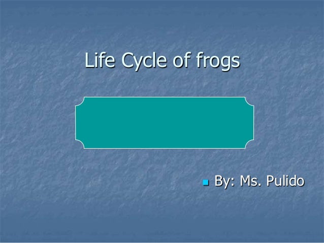 Life Cycle of frogs
 By: Ms. Pulido
 