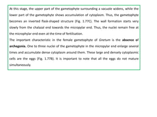 At this stage, the upper part of the gametophyte surrounding a vacuole widens, while the
lower part of the gametophyte shows accumulation of cytoplasm. Thus, the gametophyte
becomes an inverted flask-shaped structure (Fig. 1.77C). The wall formation starts very
slowly from the chalazal end towards the micropylar end. Thus, the nuclei remain free at
the microphylar end even at the time of fertilisation.
The important characteristic in the female gametophyte of Gnetum is the absence of
archegonia. One to three nuclei of the gametophyte in the micropylar end enlarge several
times and accumulate dense cytoplasm around them. These large and densely cytoplasmic
cells are the eggs (Fig. 1.77B). It is important to note that all the eggs do not mature
simultaneously.
 