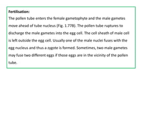Fertilisation:
The pollen tube enters the female gametophyte and the male gametes
move ahead of tube nucleus (Fig. 1.77B). The pollen tube ruptures to
discharge the male gametes into the egg cell. The cell sheath of male cell
is left outside the egg cell. Usually one of the male nuclei fuses with the
egg nucleus and thus a zygote is formed. Sometimes, two male gametes
may fuse two different eggs if those eggs are in the vicinity of the pollen
tube.
 