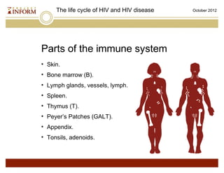 Life Cycle of HIV PLUS January 2013 | PPT