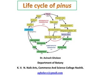 Dr. Avinash Gholave
Department of Botany
K. V. N. Naik Arts, Commerce And Science College Nashik.
agholave@gmail.com
 
