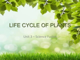 LIFE CYCLE OF PLANTS
Unit 3 – Science Fusion
 