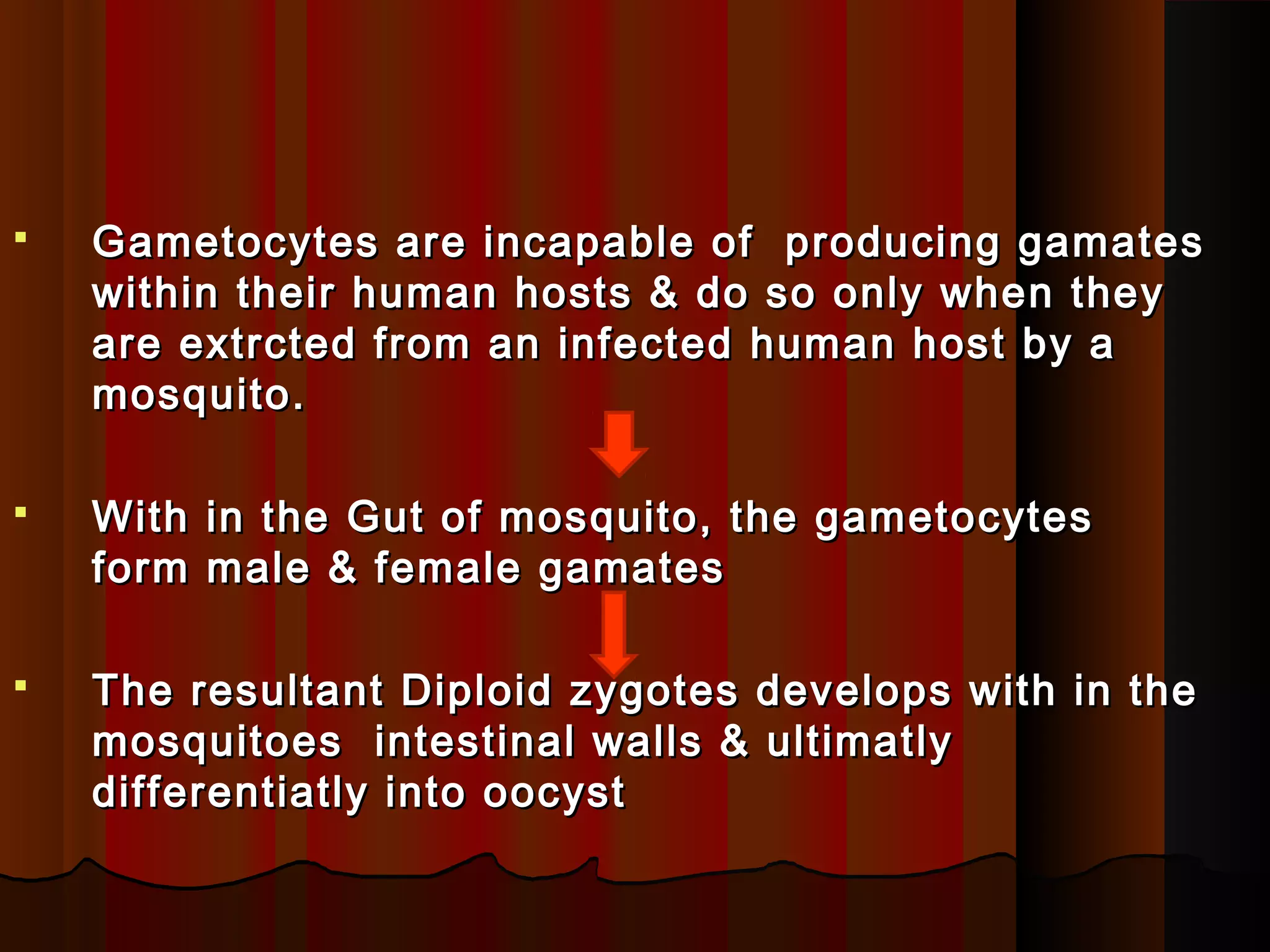  Gametocytes are incapable of producing gamatesGametocytes are incapable of producing gamates
within their human hosts & do so only when theywithin their human hosts & do so only when they
are extrcted from an infected human host by aare extrcted from an infected human host by a
mosquito.mosquito.
 With in the Gut of mosquito, the gametocytesWith in the Gut of mosquito, the gametocytes
form male & female gamatesform male & female gamates
 The resultant Diploid zygotes develops with in theThe resultant Diploid zygotes develops with in the
mosquitoes intestinal walls & ultimatlymosquitoes intestinal walls & ultimatly
differentiatly into oocystdifferentiatly into oocyst
 