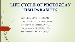 LIFE CYCLE OF PROTOZOAN
FISH PARASITES
Shoriful Islam(ASH1602006M)
Bipul Chandra Das (ASH1602034M)
Md. Rony Kazi (ASH1602047M)
Humayra Amin (BKH1602052F)
Shanto Datta (ASH1602059M)
 
