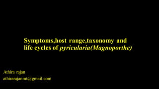 Symptoms,host range,taxonomy and
life cycles of pyricularia(Magnoporthe)
Athira rajan
athirarajanmt@gmail.com
 