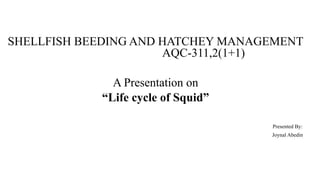 SHELLFISH BEEDING AND HATCHEY MANAGEMENT
AQC-311,2(1+1)
A Presentation on
“Life cycle of Squid”
Presented By:
Joynal Abedin
 