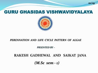 GURU GHASIDAS VISHWAVIDYALAYA
RAKESH GADHEWAL AND SAIKAT JANA
PERENNATION AND LIFE CYCLE PATTERN OF ALGAE
PRSENTED BY –
(M.Sc sem - 1)
01/19
 