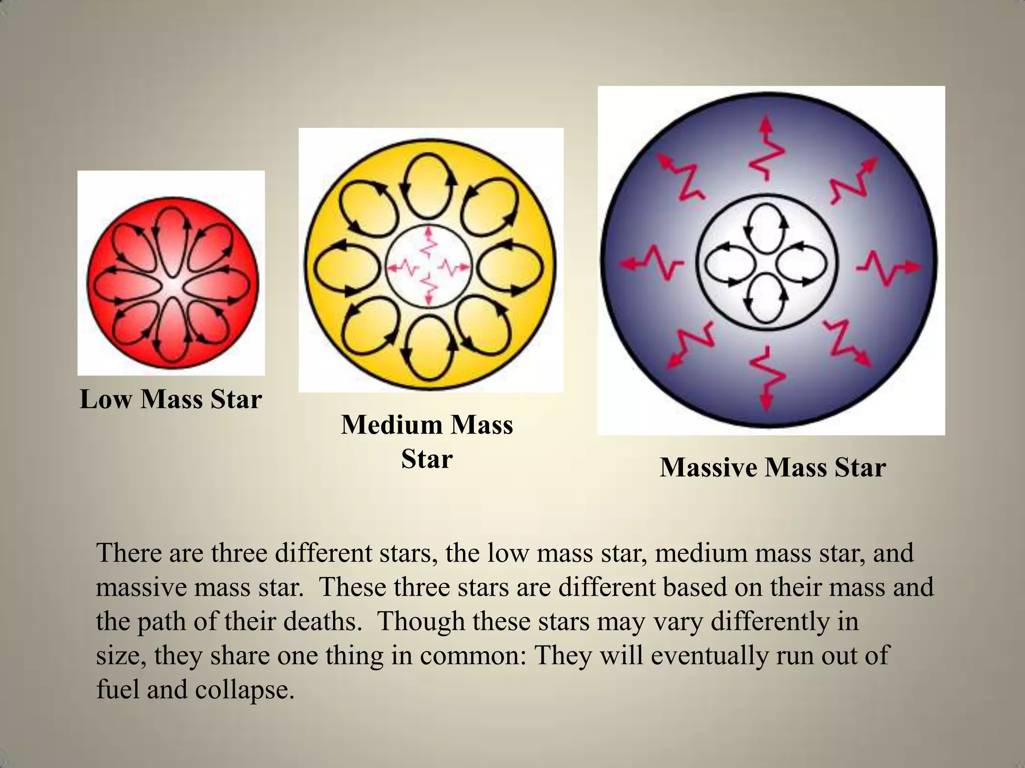 Life Cycle Ppt. | PPTX