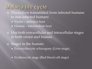  Plasmodium transmitted form infected humans
to non-infected humans
 Vector – definitve host
 Human – intermediate host
 Has both extracellular and intracellular stages
in both vector and human
 Stages in the human:
 Exo-erythocytic schizogony (Liver stage)
 Erythrocytic stage (Red blood cell stage)
 