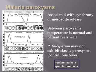 Associated with synchrony
of merozoite release
Between paroxysms
temperature is normal and
patient feels well
P. falciparum may not
exhibit classic paroxysms
(continuous fever)
tertian malaria
quartan malaria
 
