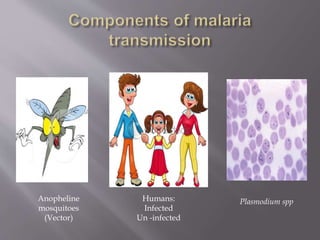 Anopheline
mosquitoes
(Vector)
Humans:
Infected
Un -infected
Plasmodium spp
 