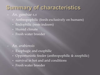 • An. gambiae s.s
• Anthropophilic (feeds exclusively on humans)
• Endophilic (rests indoors)
• Humid climate
• Fresh water breeder
• An. arabiensis
• Exophagic and exophilic
• Opportunistic feeder (anthropophilic & zoophilic)
• survival in hot and arid conditions
• Fresh water breeder
 