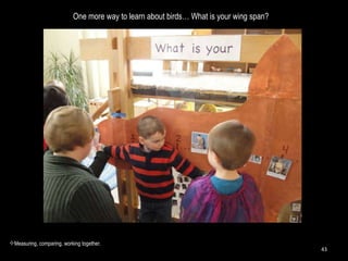 One more way to learn about birds… What is your wing span? Measuring, comparing, working together. 