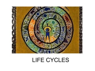 LIFE CYCLES
 