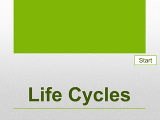 Life Cycles
Start
 