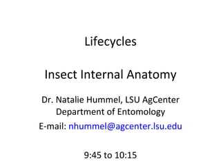   Lifecycles Insect Internal Anatomy Dr. Natalie Hummel, LSU AgCenter Department of Entomology E-mail:  [email_address] 9:45 to 10:15 