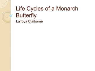 Life Cycles of a Monarch
Butterfly
LaToya Claiborne
 