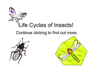 Life Cycles of Insects! Continue clicking to find out more. 