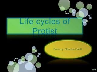 Lifecycles of protist
