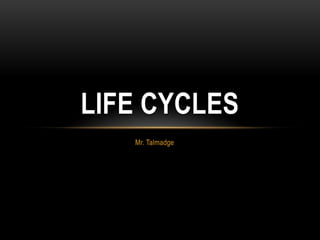 Mr. Talmadge Life Cycles  