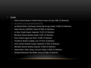 CreditsOxford University Museum of Natural Histroy, Human Life Cycle, 2006, CC Attributionshttp://staff.fcps.net/cqualls/plants/default.htmJan-Michael Breider, King Penguin looking after the egg, October 19 2006, CC AttributionsRobert Simmons, DSC06222, October 30 2006, CC Attributions Liz West, Pumpkin Season, September 13 2010, CC AttributionMike Baird, Monarch Butterfly, October 7 2007, CC AttributionKiwinz, Monarch egg on leaf, March 13 2009, CC AttributionThe Marmot, Monarch Catapillar, June 12th 2010, CC AttributionArmon, Monarch Butterfly chrysalis, September 5th 2006, CC AttributionMike Baird, Monarch Butterfly, December 15 2006, CC Attribution William Zittrich, USDA, Harvey, Life Cycel, October 18 2008, CC AttributionWoodley Wonderworks, Blue Marble, January 25 2008, CC Attribution