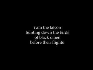 i am the falcon hunting down the birds of black omen before their flights  